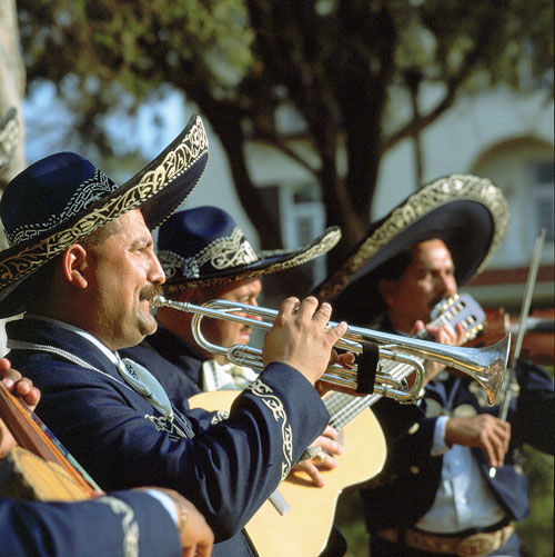 mariachis pictures
